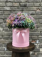 Цветочная композиция из Гипсофила и Розы в шляпной коробке #REPLACE_PRED# Шерегеше