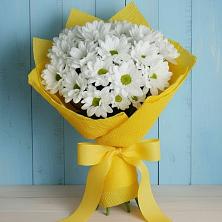 Букет цветов из:  Хризантемы в Шерегеше