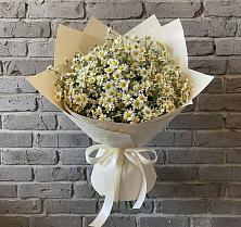 Букет цветов из:  Ромашки в Шерегеше