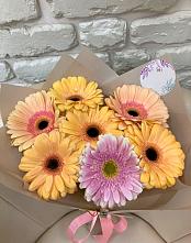 Букет цветов из:  Герберы #REPLACE_PRED# Шерегеше