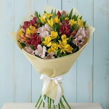 Букет цветов из:  Альстромерии #REPLACE_PRED# Шерегеше