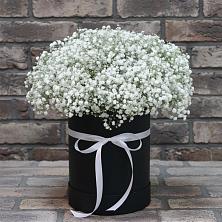 Цветочная композиция из Гипсофила в шляпной коробке в Шерегеше
