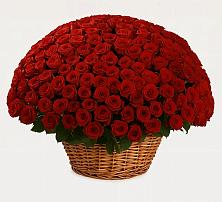 Премиум букет из: Розы в Шерегеше